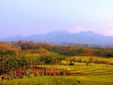 Gambar sampul Jaringan Pariwisata Pegunungan Baru akan Dibangun di Jawa Timur